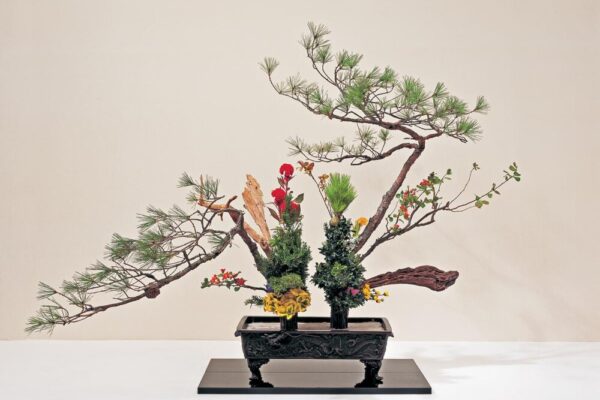 Flower Arrangement on white background