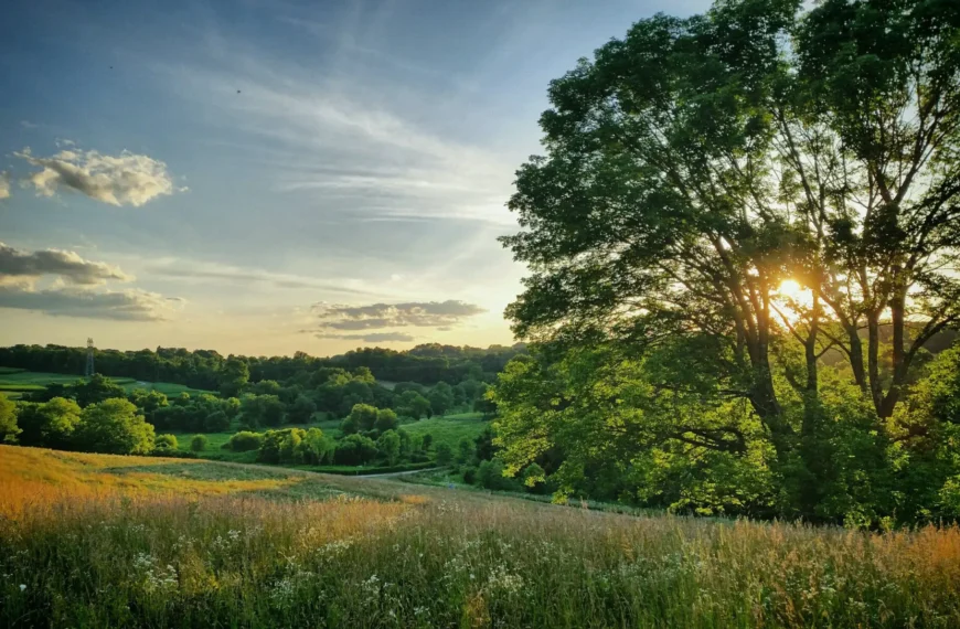 Sweeping view of rolling green meadows and forested hills at Stroud Preserve, with sunlight breaking through the tree canopy — walking trails near West Chester
