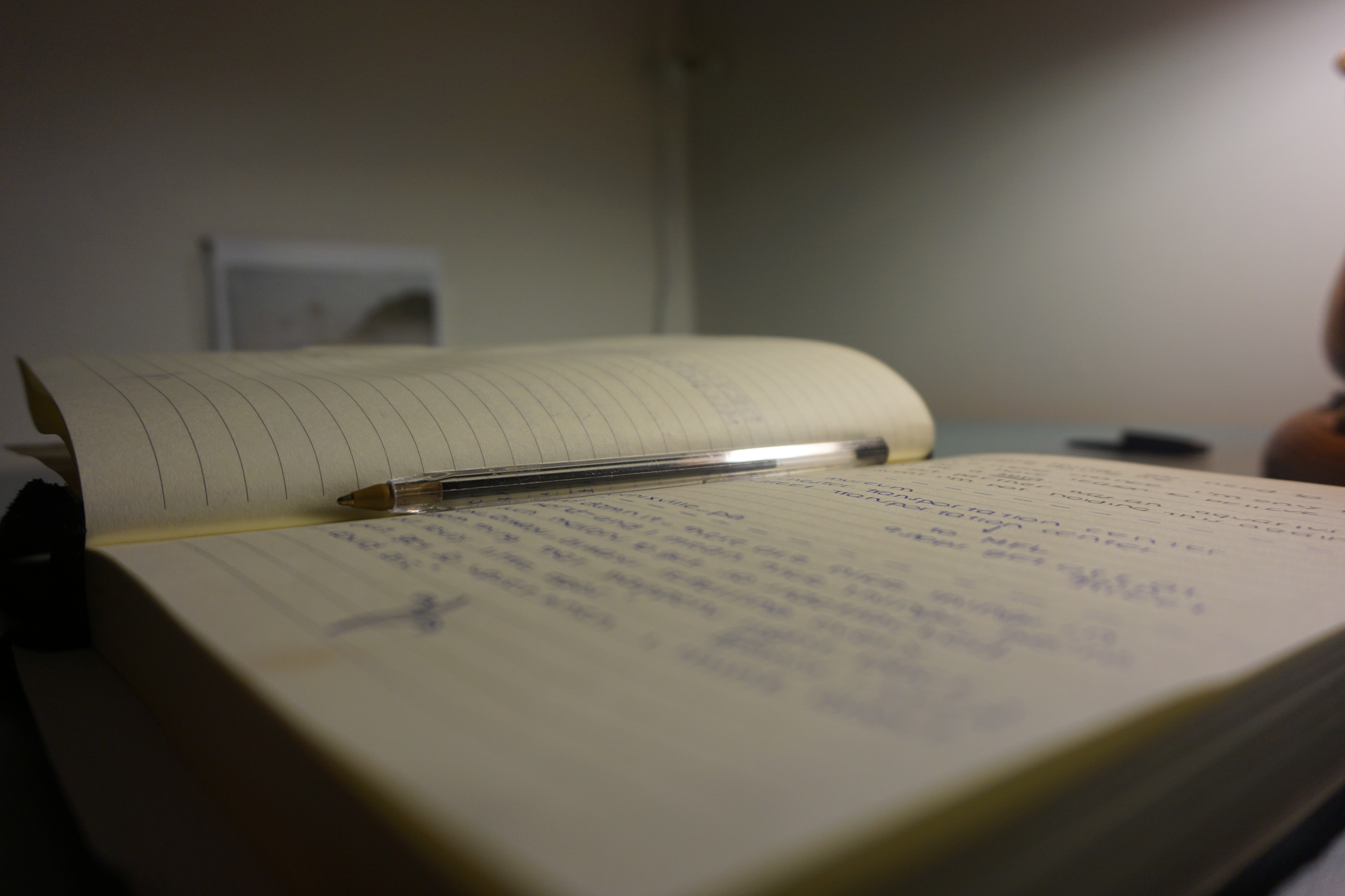 Slam Poetry: How I Discovered My Passion For Performing