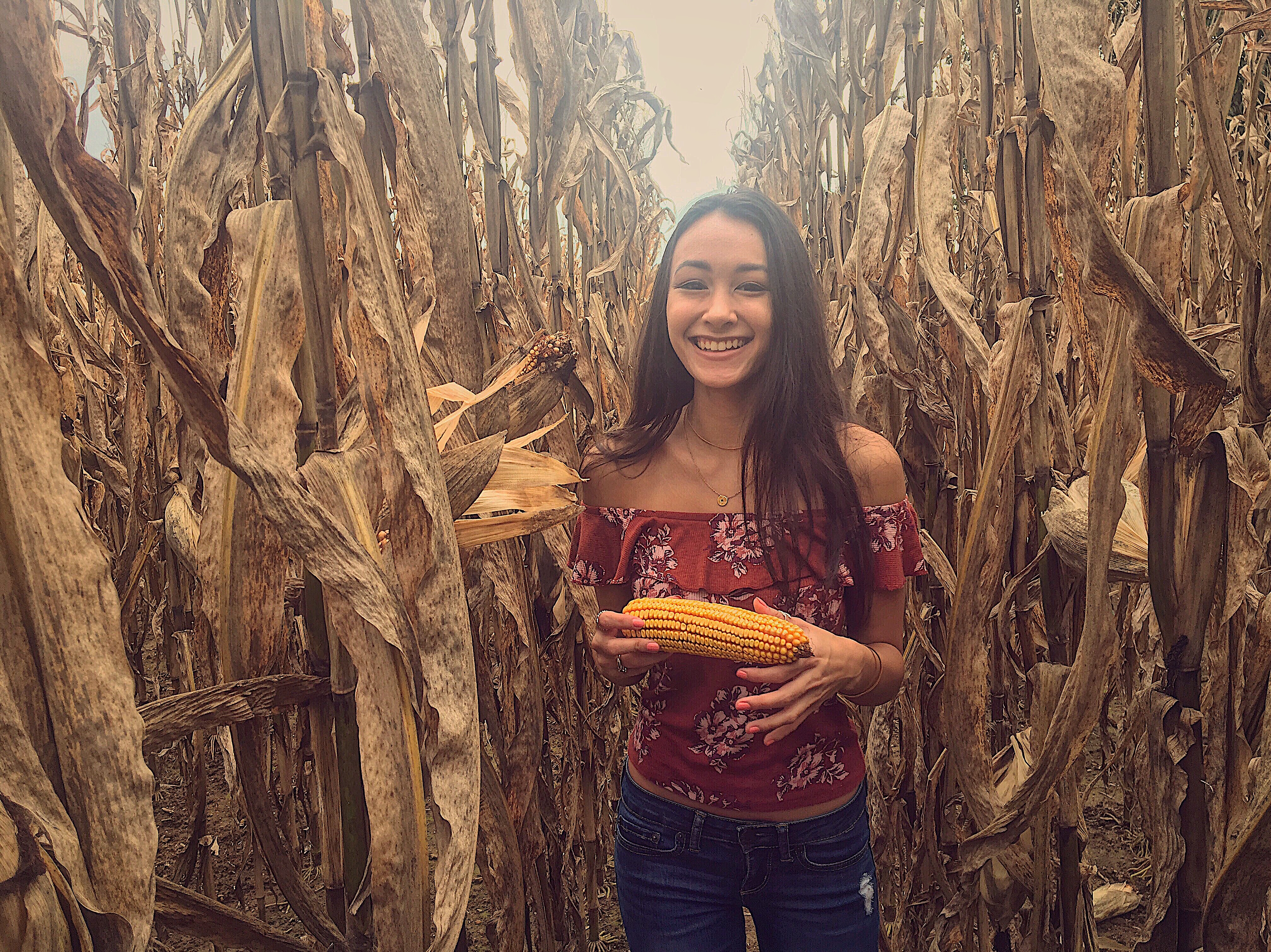 Fun Fall Festivities to do Without Traveling Far