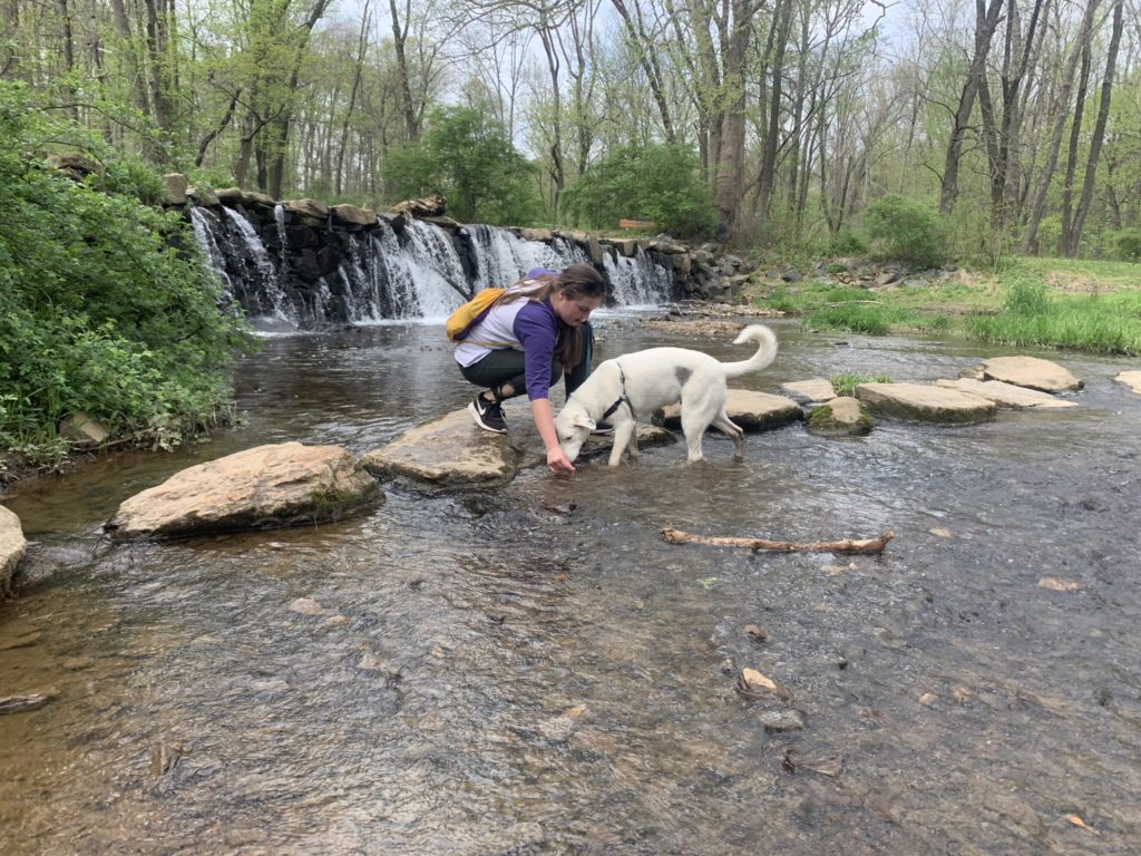 Being in nature to destress during finals