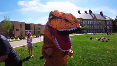 Dino in the quad