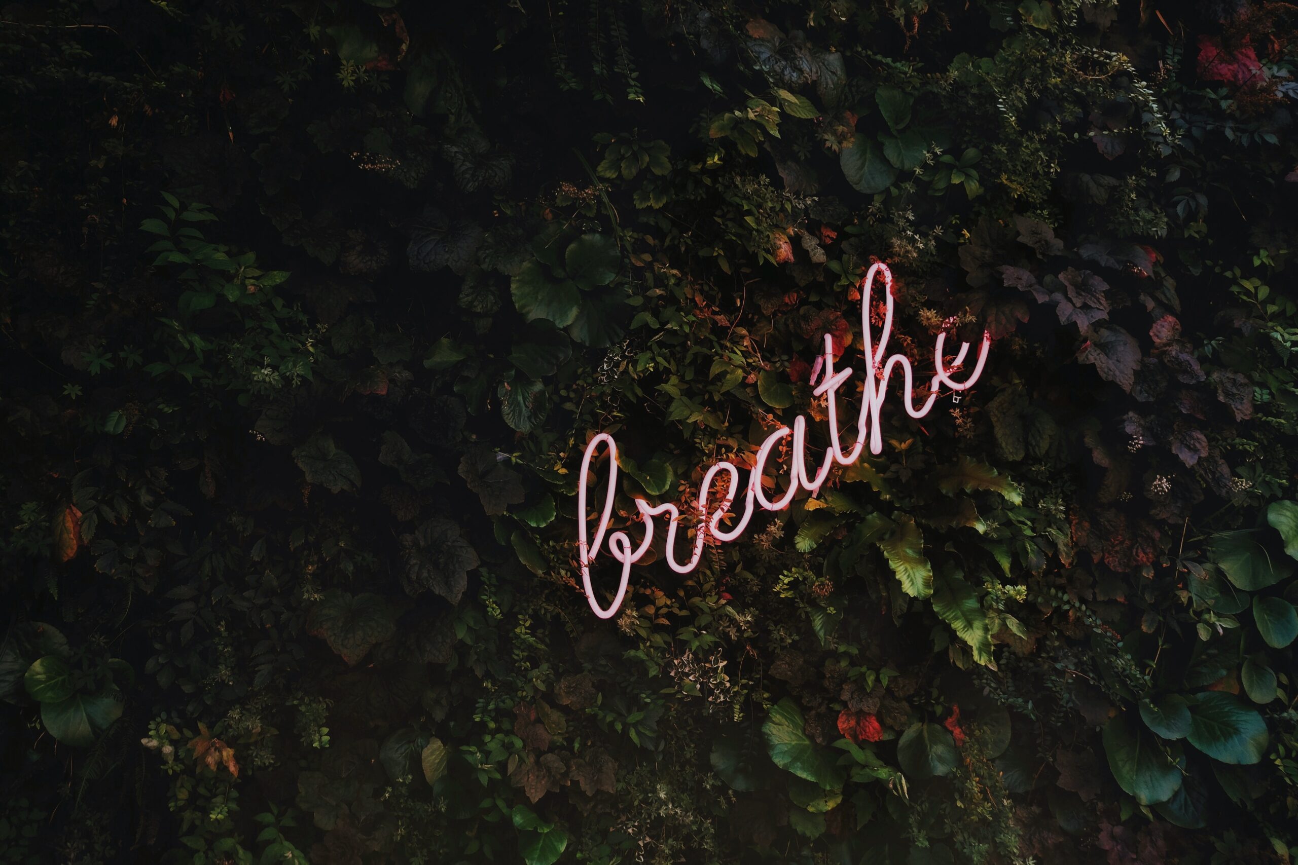 How to Balance Stress and Anxiety During a Pandemic
