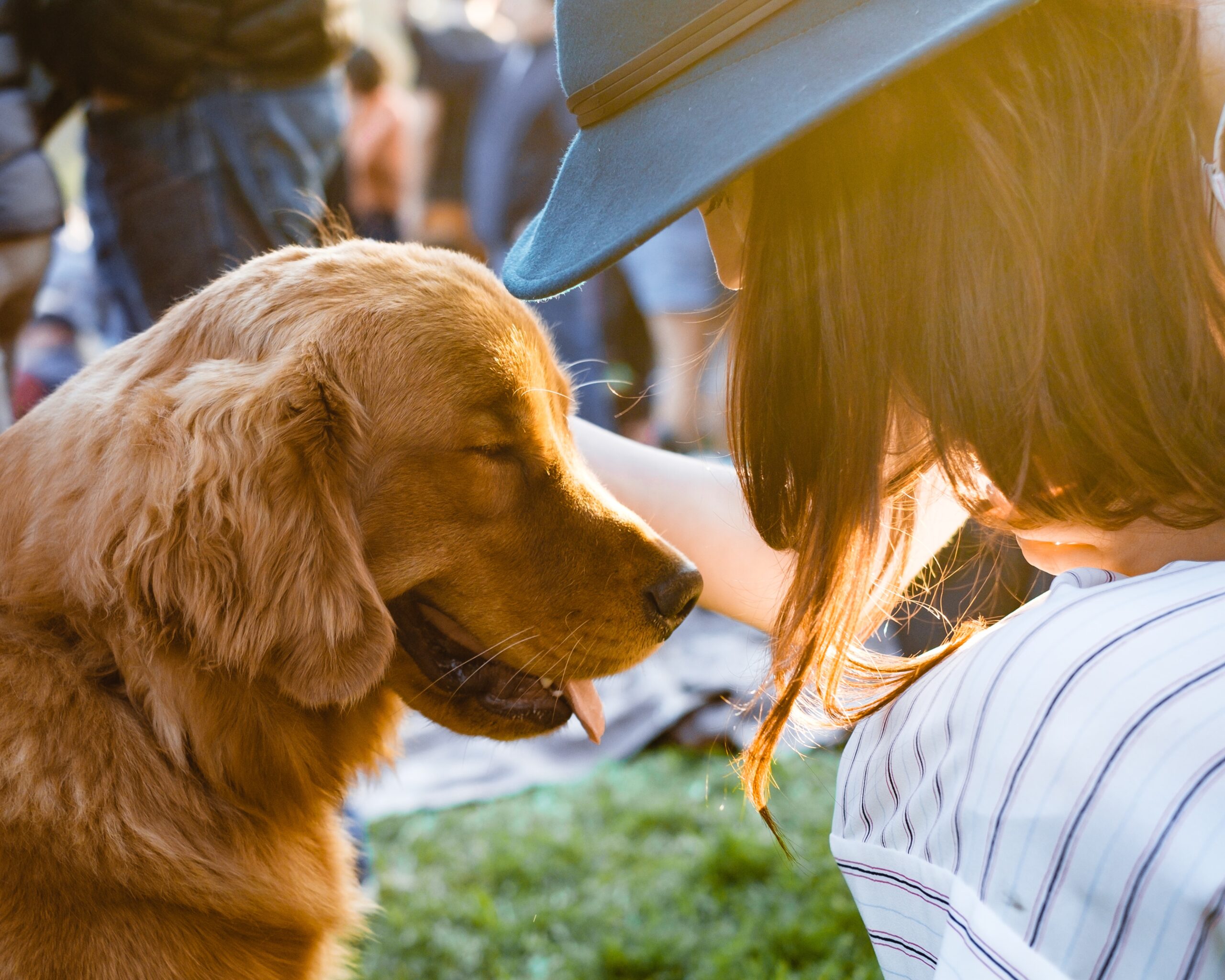 Therapy Dogs at West Chester…