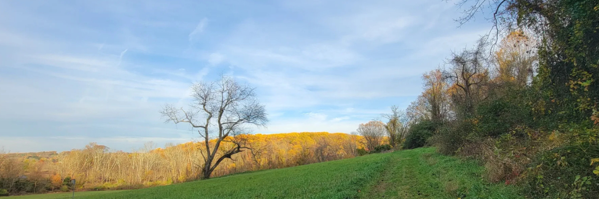 Open grassy hillside at Brandywine Red Clay Alliance with bare autumn trees and a backdrop of golden foliage under a wide blue sky — walking trails near West Chester