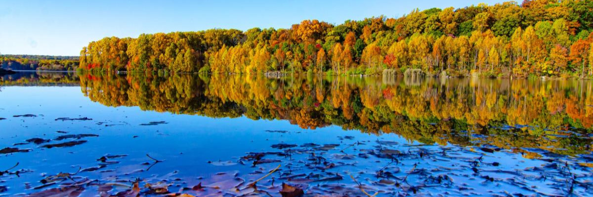 Calm lake at Marsh Creek State Park surrounded by trees displaying peak fall foliage in gold, orange, and red, with vivid colors reflected in the still water — walking trails near West Chester