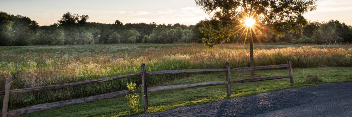 Sun bursting through a tree at sunset beside a wooden split-rail fence, with a wildflower meadow and treeline glowing in warm evening light — Stroud Preserve, walking trails near West Chester