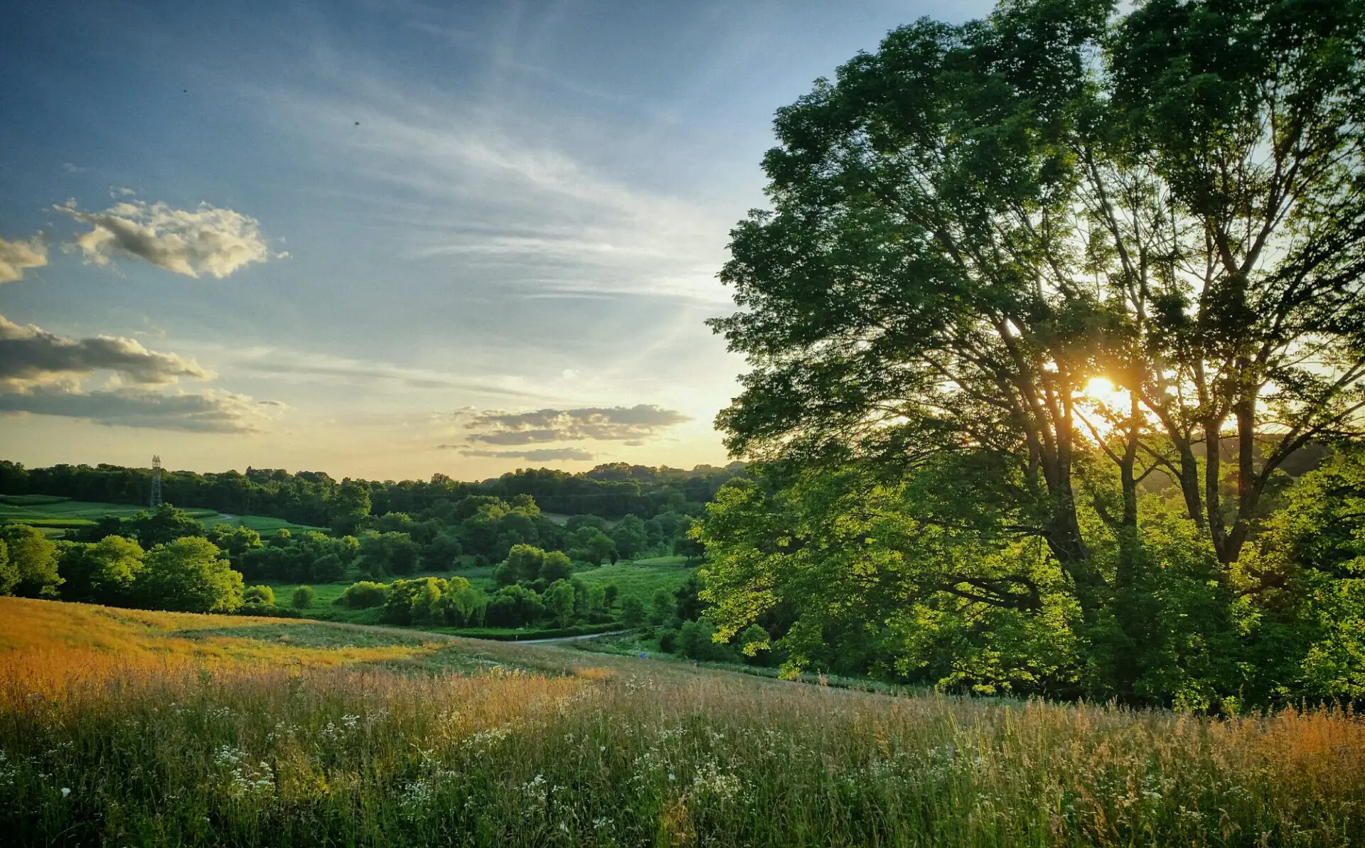 Sweeping view of rolling green meadows and forested hills at Stroud Preserve, with sunlight breaking through the tree canopy — walking trails near West Chester
